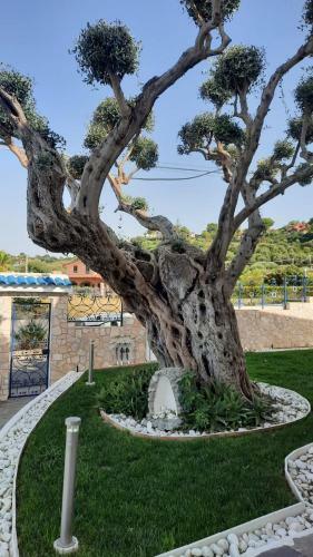 Bed & Breakfast Villa Ludo A Zambrone Tropea