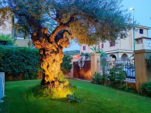 Apartamento Domu Cannuja
