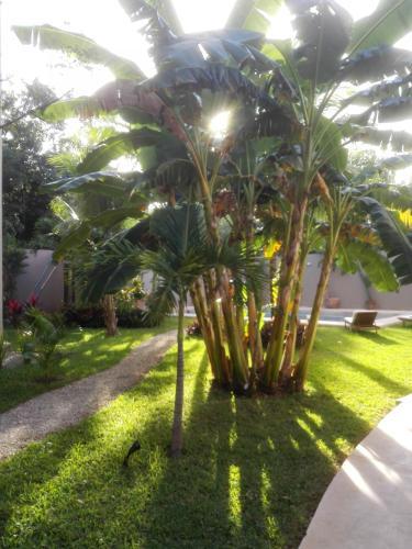 Apartment In Buena Vida