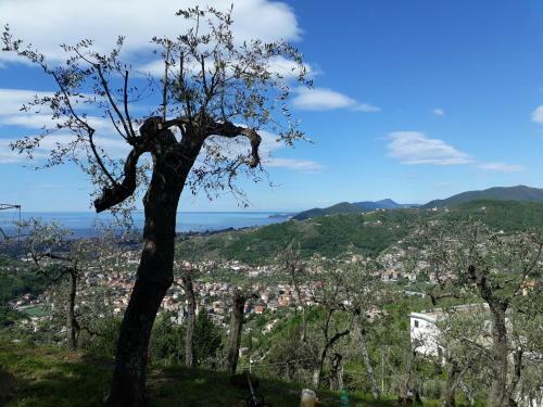 Hostal Ca' Da Tollo