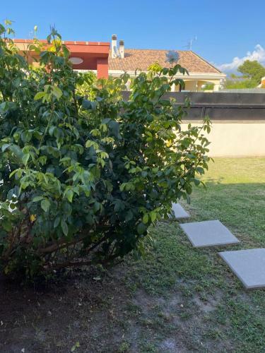 Apartamento Casa Mia