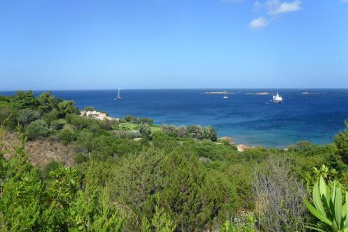 Apartamento Ginepri 5