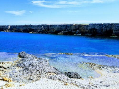 A Due Passi Dal Mare Con Pisicna