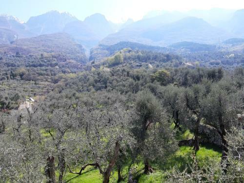 Apartamento Appartamenti Prima Luce