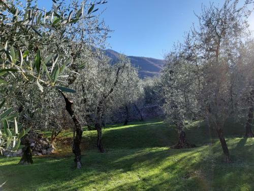 Apartamento Appartamenti Prima Luce