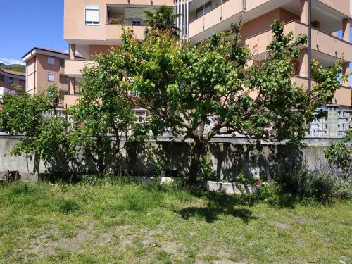 Apartamento Casa Marina