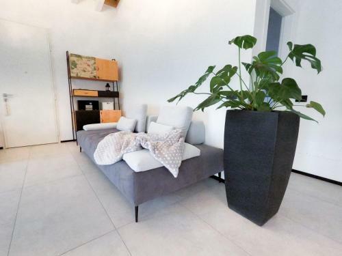 Villa Calla