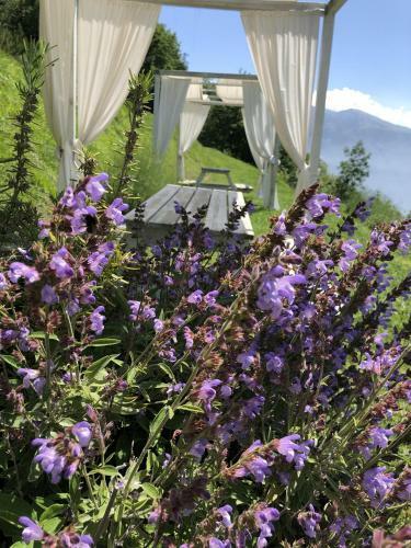 Apartamento Bnb Borgo Le Vigne - Il Mosto