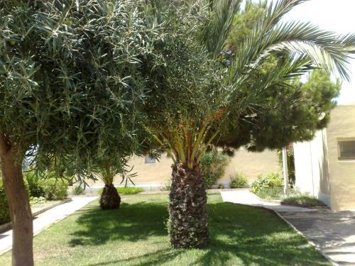 Apartamento Optimist