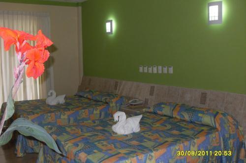 Hotel Quinta Exxpres