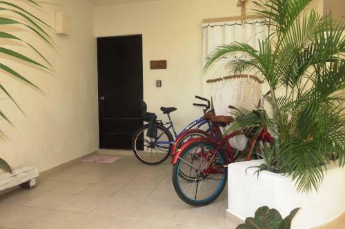 Apartamento Zama Tulum