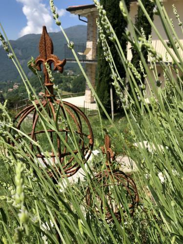 Apartamento Bnb Borgo Le Vigne - L'uva Rara