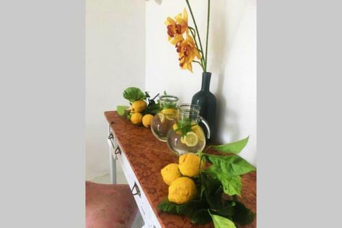 Apartamento Terrazzo Esclusivo Con Zona Solarium Da 100 Mq