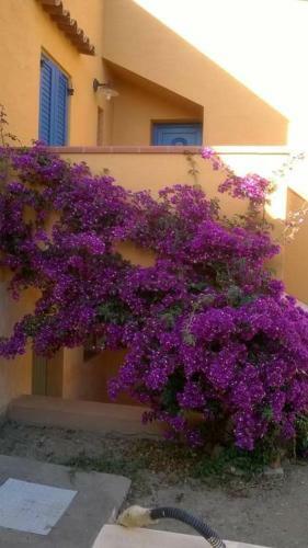 Casa Sa Ide