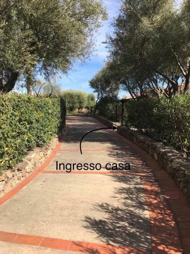 Ladunia 3m - Giardino