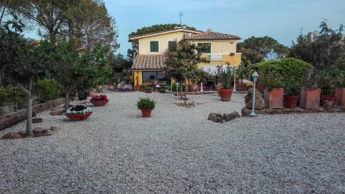 B&B Giglio Di Mare