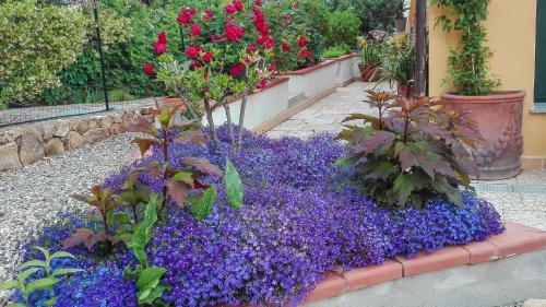 B&B Giglio Di Mare