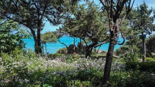 B&B Giglio Di Mare