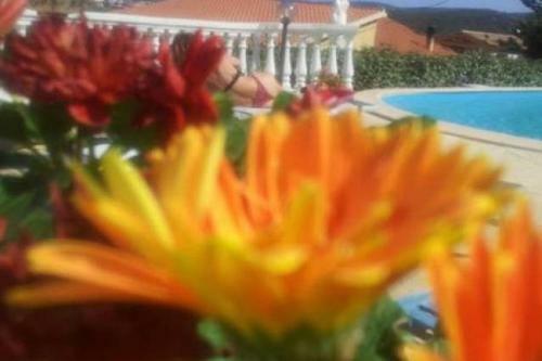 Bed & Breakfast La Finestra Sul Mare