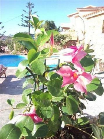 Bed & Breakfast La Finestra Sul Mare