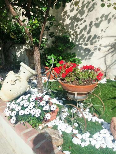 Apartamento Casa Rita