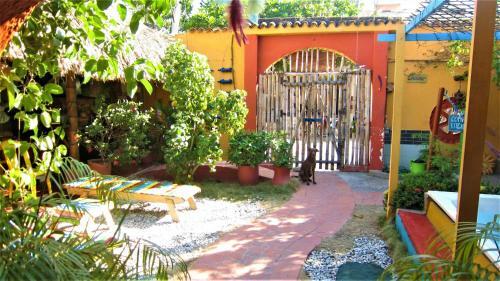 Hostal Casa Del Ritmo Hostel