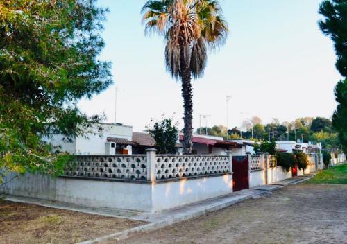 Apartamento Villetta M&m A Torre Dell'orso