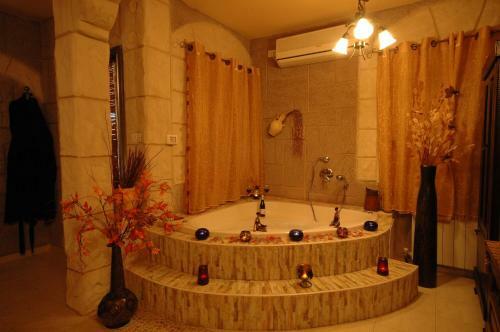 Lodge Michal's Suites