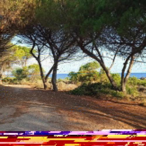 Apartamento Calarossa