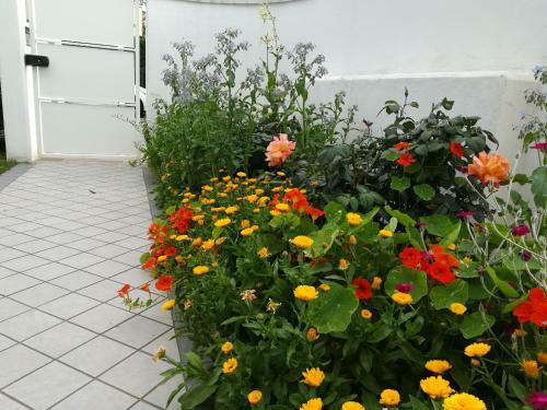 Bed & Breakfast Al Piovego