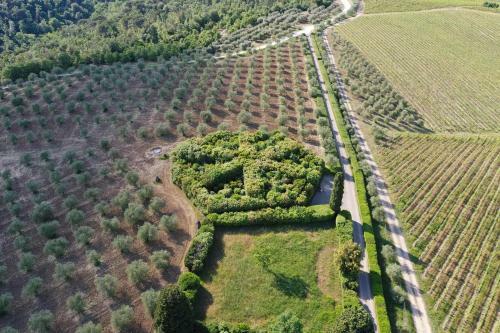 Hotel Borgo Scopeto Wine & Country Relais