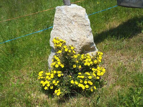 Apartamento Steierhof
