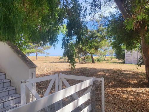 Apartamento Fronte Mare