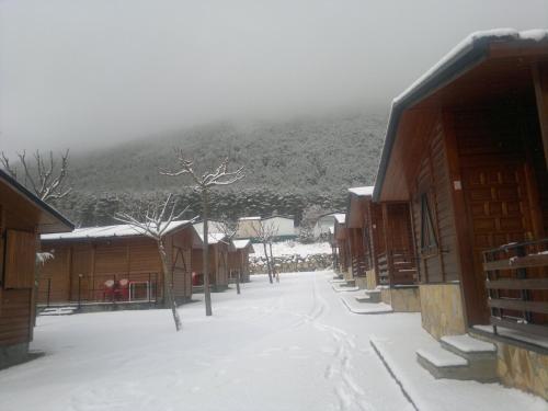 Camping Valle De Tena