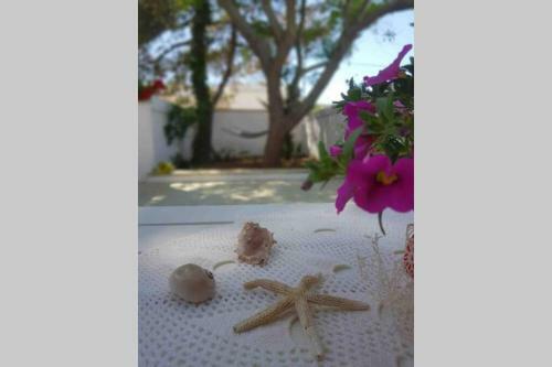 Apartamento I 4 Venti Grecale Torre San Giovanni