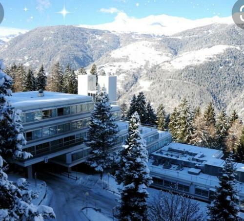 Apartamento Marilleva 1400 Tra Sport E Natura