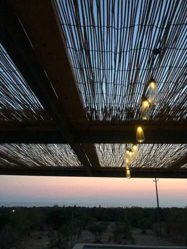 Tenuta Mar�