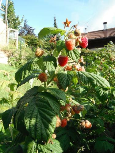 Apartamento Pozza Appartamenti