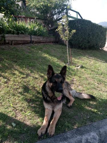 Apartamento Pozza Appartamenti