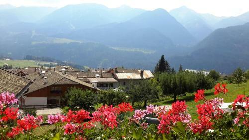 Bed & Breakfast La Cesura