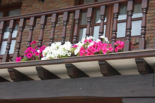 Hostal Posada El Acebo