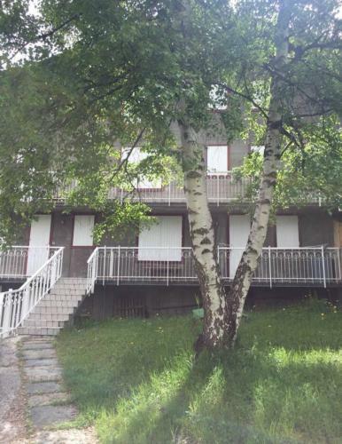 Apartamento Pila...perchu