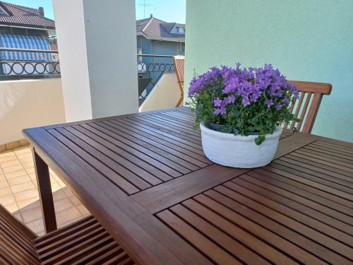 Apartamento Elegante Bilocale A Pochi Passi Dal Mare