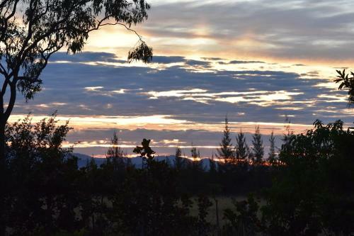 Ironbark House