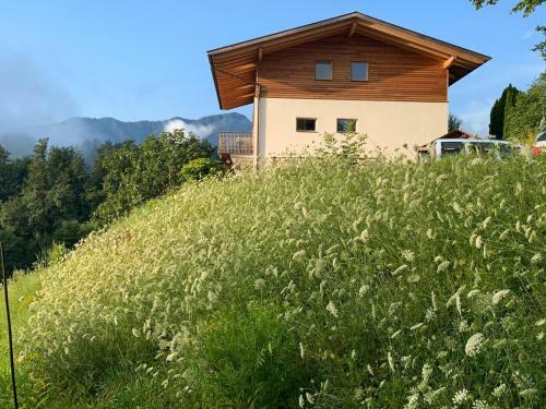 Apartamento Villa Alberta