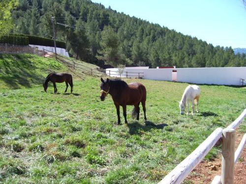Hotel Val De Pinares