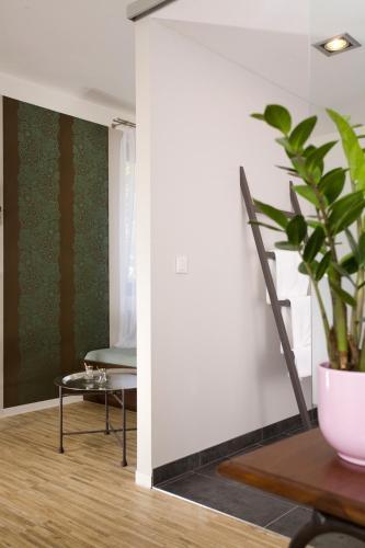 Hostal Pension Mariposa - Design Chambers