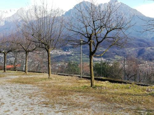 Apartamento Quel Ramo Del Lago Di Como... Appartamento 189