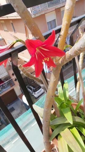 Apartamento Ro House