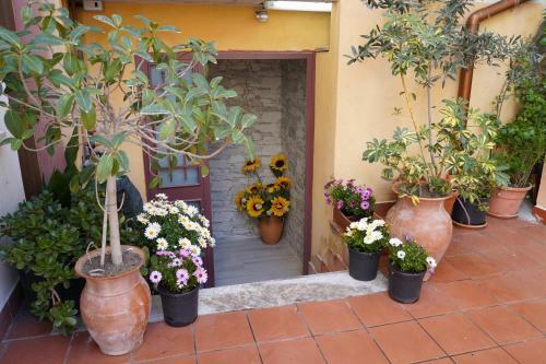 Apartamento Soluzione Mare